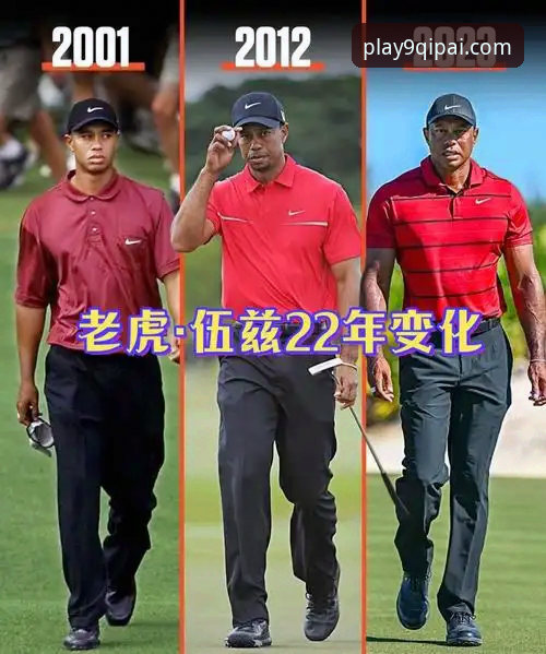 老虎伍兹药物驾驶事件深度分析：从赛场传奇到人生低谷的全面解析